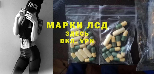СК Алексин