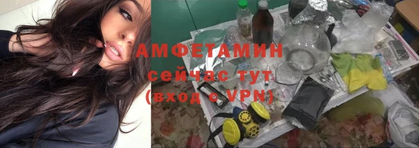 СК Алексин