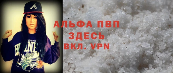 СК Алексин