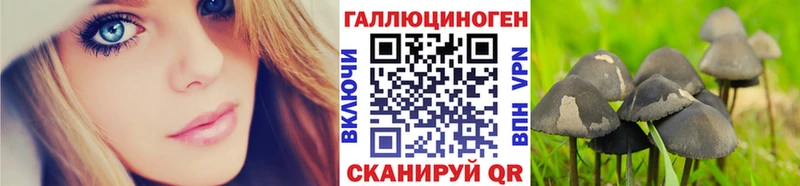 Псилоцибиновые грибы ЛСД  Зуевка 